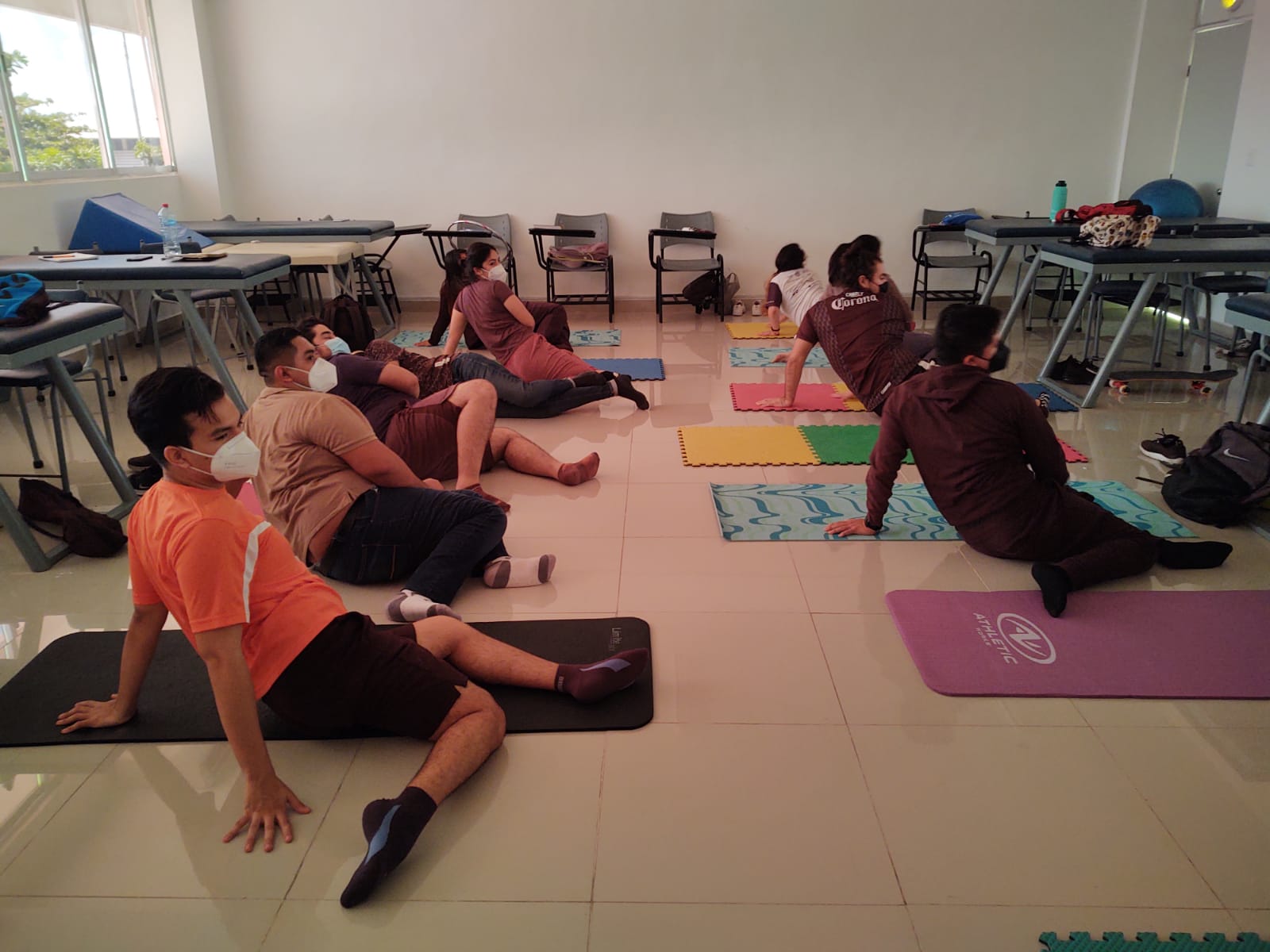 Diplomado Diplomado Fisioterapia En Salud Mental